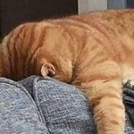 어?