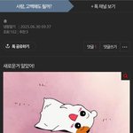 [혼자하는말] 답변이야