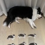 [댓글부탁해] 알리 잘 아는 사람있음? 옷 <b>사본</b> 사람