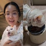 김정난, 먹먹한 이별 준비 “<b>종양</b> 수술로 턱 잃은 노묘, 암 재발...