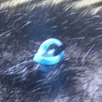 [댓글부탁해] 나 마지막 <b>항암</b>치료 끝내고 머리 기르는중이야