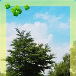 운길산에서 물의<b>정원</b>에서 대성리방향으로 가다보면 ..2탄