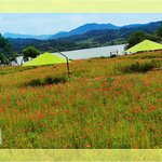 운길산에서 물의<b>정원</b>에서 대성리방향으로 가다보면 ..4탄