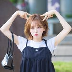 ‘완냥이 완챙이 퓨전 포즈’ (웬디의 영스트리트 출근길) [<b>HD</b>포토]