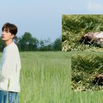 디지털 싱글 '도망치는 건 부끄럽지만' <b>STORY</b> TEASER #2