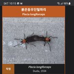 <b>러브</b>버그 원래 이름 있는거 알아?