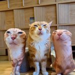 나만 남자 볼때 인스타 많이 따지나