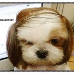 [하고싶은말] <b>할배</b>