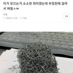 [드루와] <b>러브</b>버그 개극혐인게