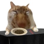 미성년자 <b>필러</b>는