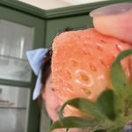 [19] 15키로빼고 <b>후덕</b>한거 싹없어짐