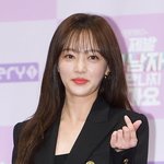 [공식] '학폭 의혹' 송하윤, 알고보니 결별한 상태였다…"대중...