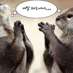 ❤️ 연애 스타일 <b>선호도</b> 조사