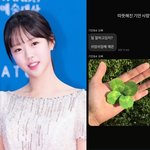 [해시태그] 지예은, 기안84가 보낸 '문자'…이렇게까지 스윗하다고...