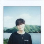 방탄 인더숲 <b>시즌</b>1 폴라로이드 슈가