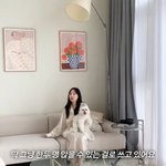 박성광이<b>솔이</b>, 초호화 펜트하우스 공개 "140만원 트롤리 빨랫대로...