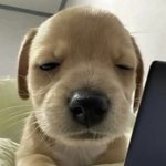 [오빠가] 나라고 <b>격렬</b>하게 싸우는모습