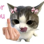 뉴진스의 <b>나락</b>을 축하하며