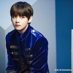 방탄 뷔 Jp <b>Official</b> Fanclub Photo