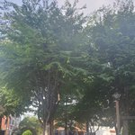 <b>나무</b> 구경 하세요