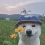 [<b>산책</b>] 가보자가보자가보자