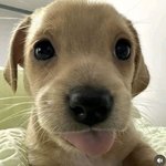 [오빠] 엠<b>비티</b>아이 몰라서