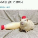 [드루와] <b>사주</b> 얘기하면 안됨?