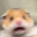 <b>내</b><b>사랑</b>