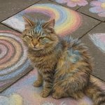 [입냄새가] 나믄 <b>치카</b>를해라