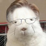 내가 ㅈㄴ <b>평범</b>하디 <b>평범</b>한 남자한테 빠지다니
