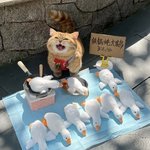 [알<b>빠노</b>] 오리 사세요