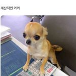 너야