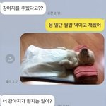 [<b>멍멍이</b>랑] 낮잠 때릿다