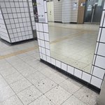 와 <b>올해</b> 본사진중에 제일역겨움