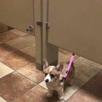 [드루와] 남자가 <b>페미</b> 욕하는 이유