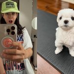 ‘현빈’ 손예진, 육아 어려운건 다 똑같나봐 “밥도 먹고 간식도...