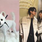 '송재희' 지소연, 16년 함께한 반려견과 이별 "<b>통째</b>로 찢긴...