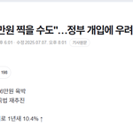 "쌀값 10만원 찍을수도"..정부 개입 <b>우려</b>에