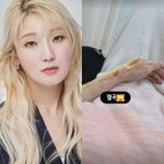 [댓글부탁해] <b>히밥</b>, 구독자 170만 앞두고…7개월 만에 또 안타까운...