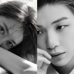 신기한 조합이네..강다니엘과 <b>협업</b> “눈빛, 마음 전해주는 힘有”