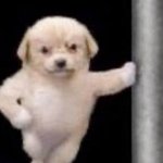 고3인데 <b>사탐</b>공부가 넘 하기싫음ㅜ