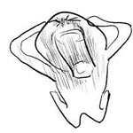 [댓글부탁해] 급한데 화장실에 휴지 없을 때 어떡할 거임?