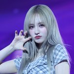 나만 화살코 이쁘냐