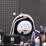 펭수, 치질 수술+탈모 왔다?…인간적인 <b>펭귄</b> (라디오쇼)[종합]