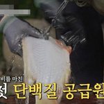 덤 앤 더머급 <b>모지리</b> 그 자체인 형과 동생