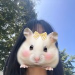 나 염색 개<b>처망</b>함듯~~~