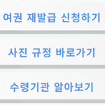 [차사랑] 여권 재발급 온라인 신청 총정리