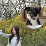 <b>한수아</b> 인스타그램