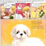 사랑하자