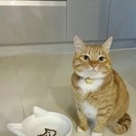 더유ㅓ서